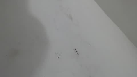 Brant Garcia online show from January 18, 6:11 am