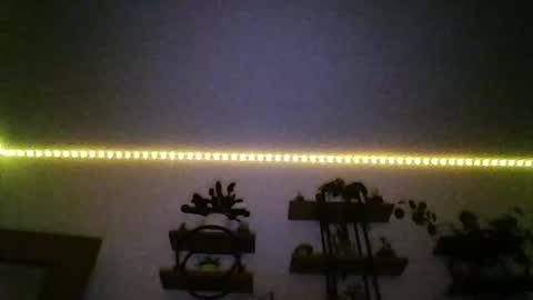 breakyourfocus online show from January 17, 3:16 am