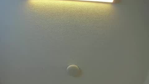 Brittany  online show from February 1, 7:11 pm