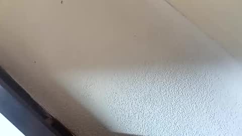 Brittany  online show from October 25, 2:34 am