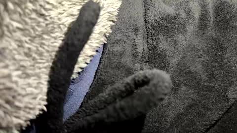 just a broken boy online show from January 12, 7:10 pm