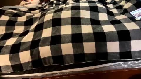 brownbootie1 online show from January 7, 4:05 pm