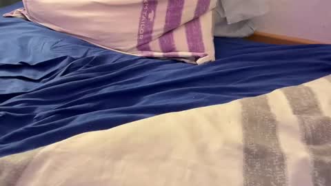 Brujo 4 online show from December 5, 12:17 pm