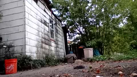 buddylovex online show from October 6, 10:16 pm