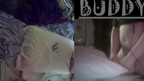 budsonly36 online show from February 15, 4:23 pm