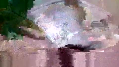 buffsurgeon1 online show from September 8, 5:34 pm