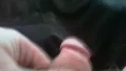 bullemoe online show from October 2, 7:07 am