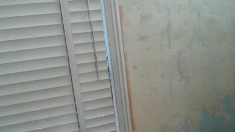 BullMuscleJoe online show from February 13, 10:24 pm