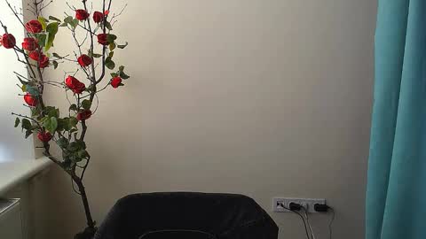 Ariel online show from September 24, 8:32 am