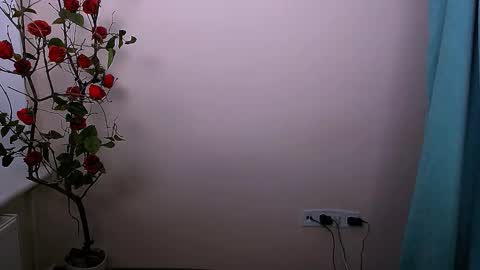 Ariel online show from October 21, 4:17 am