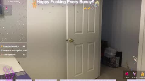 Tokki  bunny  online show from December 10, 11:08 pm