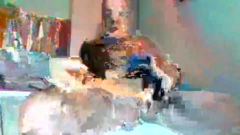burnleyguy1977 online show from June 18, 6:46 pm