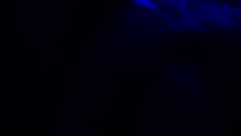 buttbunn1313 online show from November 21, 8:56 am