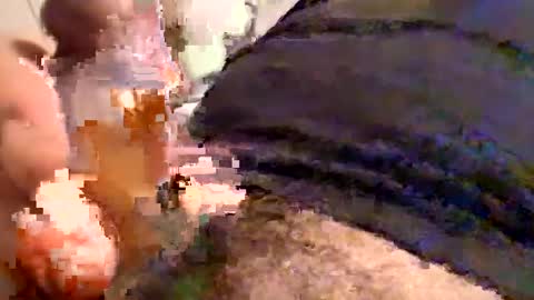 Snapshot of cactus_1041 chatting on December 30, 5:58 am Cactus1041 online show from December 30, 5:58 am