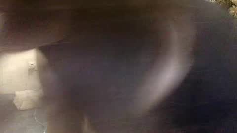 Lamb online show from April 22, 6:04 pm