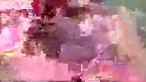 freepalestine online show from November 10, 9:12 am