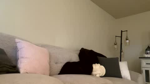 caligurlss online show from September 25, 12:28 am