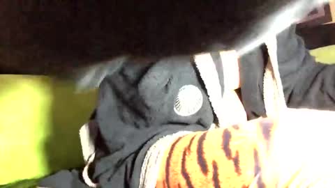 Snapshot of camelion90 chatting on March 2, 6:08 pm Marco online show from March 2, 6:08 pm