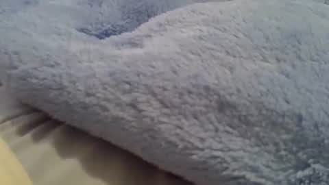 Snapshot of camilaperes69 chatting on September 8, 7:13 pm flash 50 tokens BIG CLIT tits pussy. masturbation big clit 150 tokens fingers inside pussy 1000 tk pump big clit 300 tk online show from September 8, 7:13 pm