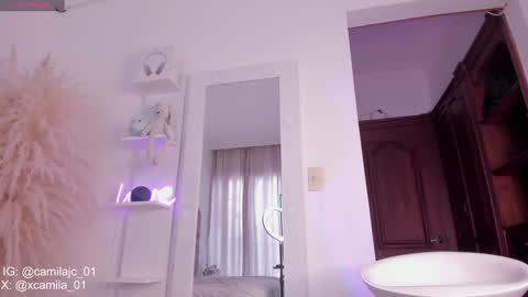Snapshot of cammile_cole chatting on January 11, 9:25 pm Laura Camila online show from January 11, 9:25 pm