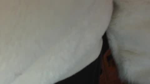 Snapshot of candylady136 chatting on February 25, 1:32 pm say meow and send tip online show from February 25, 1:32 pm