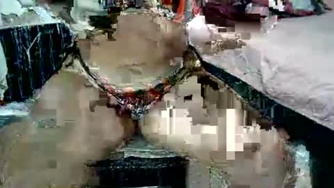 canela021 online show from December 14, 2:51 am