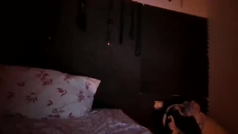 CARLA BRASILERA REYNA DEL FETICHE online show from September 24, 6:42 am