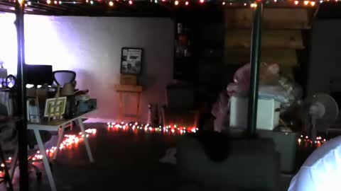 Carl online show from December 23, 9:16 am
