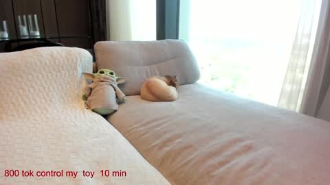 Snapshot of carolinaherera chatting on September 14, 10:38 am Lina.I will online 1 December online show from September 14, 10:38 am