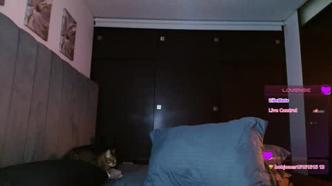 Snapshot of carolynamuzgui chatting on February 27, 5:58 pm Carolinne online show from February 27, 5:58 pm