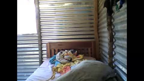 carters62 online show from December 5, 8:13 am