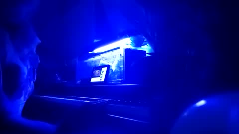 cassandra1369 online show from September 25, 12:06 am