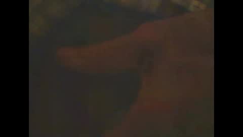 castells online show from February 23, 6:56 pm