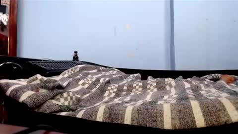 cat woman05 online show from December 6, 7:28 pm