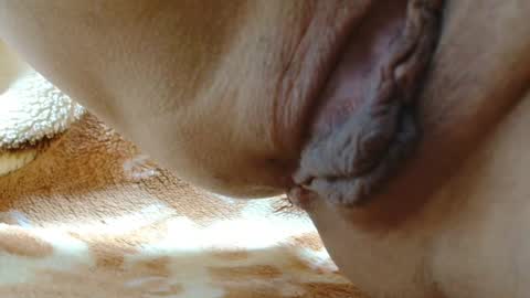 ANNYANNY online show from May 27, 2:47 pm
