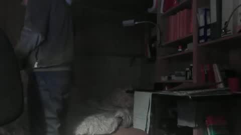 cd_99 online show from April 3, 9:22 pm