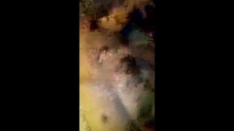 Roxy and Royce online show from April 3, 1:07 pm