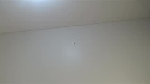 Viviana 3 online show from January 4, 7:13 am
