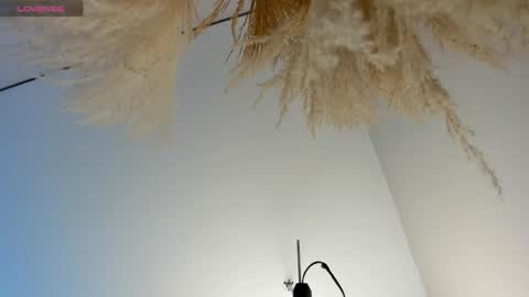 Daniela online show from December 1, 3:15 am