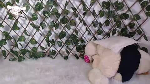 Snapshot of charly_evans60 chatting on February 25, 10:09 pm charly_evans60 online show from February 25, 10:09 pm