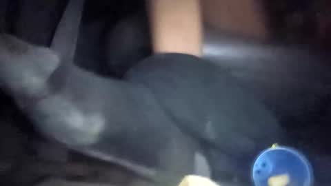 charlymo730 online show from November 2, 7:41 am