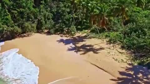 Sam online show from December 17, 4:21 pm