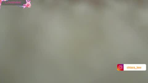 Snapshot of chiaretta99 chatting on December 12, 5:48 pm Chiara Lovense is active Pvt open online show from December 12, 5:48 pm