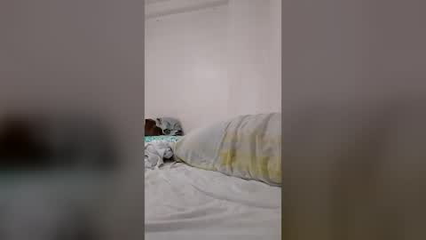 chicoboyhot online show from July 27, 5:49 am