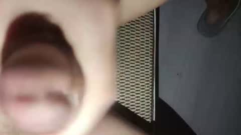 chinacock_16cm online show from August 8, 5:56 pm