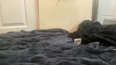 chitarzan online show from September 29, 6:18 pm