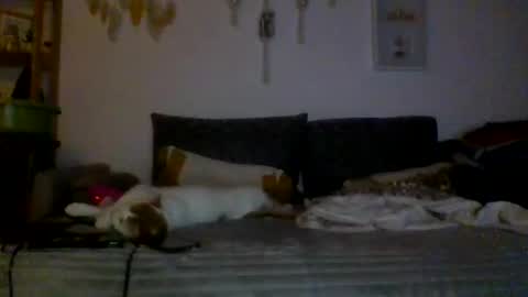 ciasnsyrize1996 online show from March 4, 9:54 pm