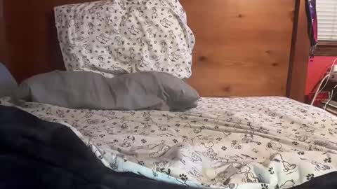 cjallday1424 online show from March 3, 3:41 am