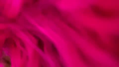 Snapshot of clarkshammer95 chatting on March 3, 9:26 pm clarkshammer95 online show from March 3, 9:26 pm
