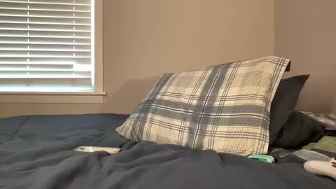 Clyde Austin online show from April 15, 7:58 pm